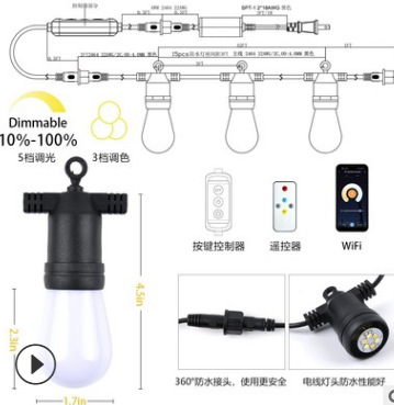 亚马逊新款智能WIFI遥控调光调色灯串LED变色防水灯串S14RGB灯串