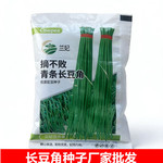 【包装尺寸9-12cm】兰妃厂家直销蔬菜种子青条长豆角各种蔬菜种子