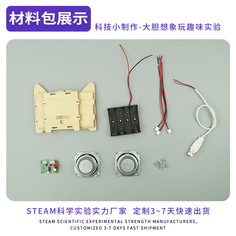 Estudiante de escuela primaria diversión Ciencia pequeña producción DIY altavoz Bluetooth inalámbrico grande Rompecabezas de niños ensamblados a mano suministros de enseñanza