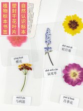 �ɻ����� ֲ��˱������^�� ���~�����ܷ� С�W���J�R��Ȼ ���˺�