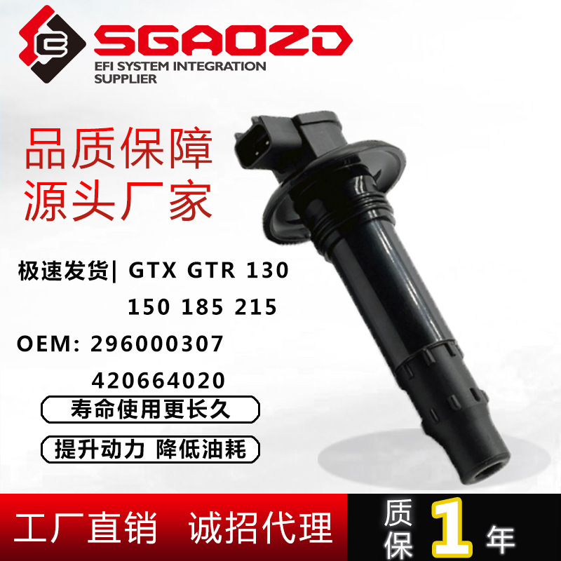 Auto Parts Cross-Border Suitable for Opel Gtx Ignition Coil High Voltage Package 296000307 420664020