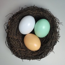 木质仿真鸡蛋厂家批发假鸭蛋复活节绘画涂鸦引蛋儿童过家家玩具