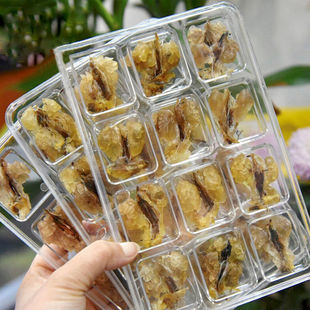 �����L��ɽ���ѩ���ͺ��b ����� ������ ��ʿ� �w�� �K����