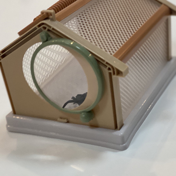 Brand children's handheld magnifying glass