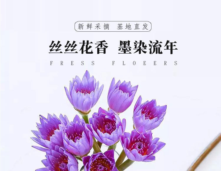 25894f8c-098d-4c97-b100-2e23a83a0e52.jpe