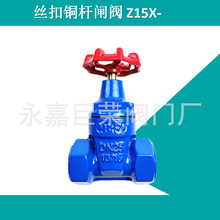 丝口闸阀 螺纹防盗阀 磁性表前阀 Z15X-16Q摩擦阻力小 南高供应
