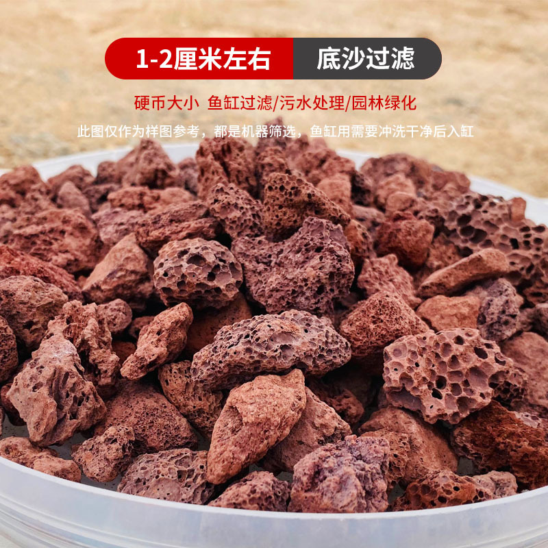 3파운드 1- 2cm 빨간색 [어항과 거북이 수조 바닥] 돈 잃는 추진력!