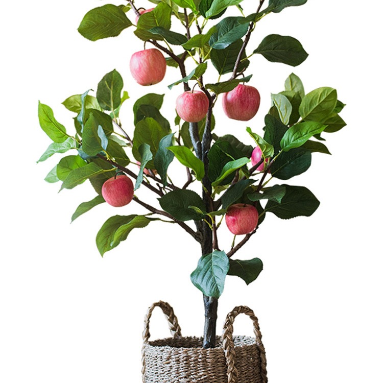 Apple tree bonsai potted plant decorative ornaments meaning fruit trees are safe and safe holiday gifts 5