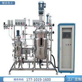 白酒酒精啤酒发酵设备乳酸发酵工业机械搅拌生物反应器厌氧发酵罐