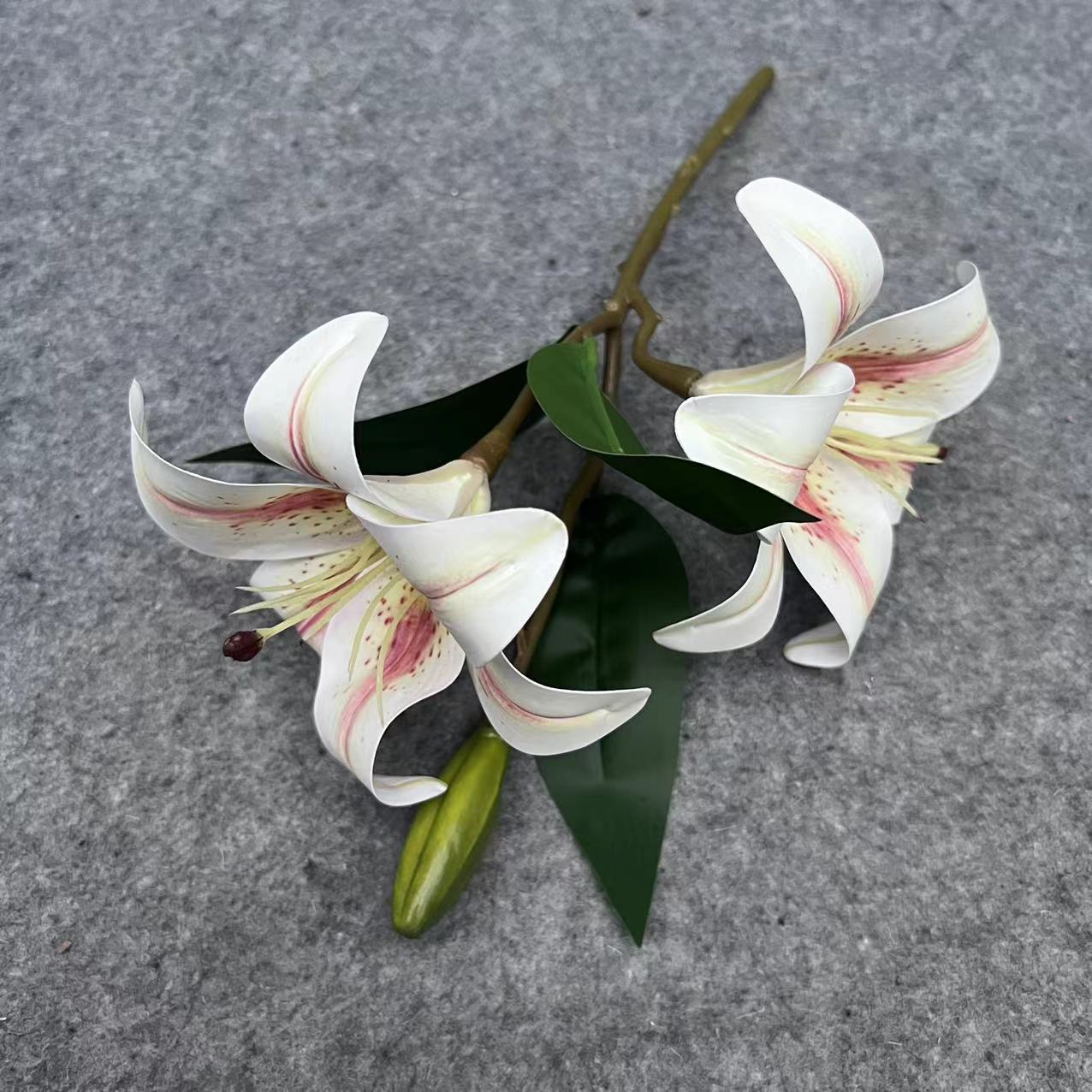 3D 릴리 샴페인