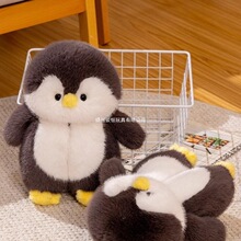 ������ЬŮ�ɐ۰���ë�q���Z�ҾӺ�׶���Ůʿ�҃ȱ�ůë��Ь��