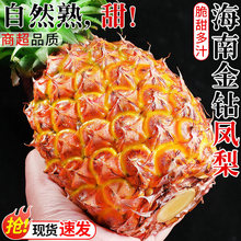 ���Ͻ���P�殔��������ˮ���}��˺â�����}�o���خa���rˮ������