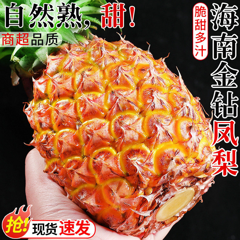 Hainan Golden Diamond Pineapple Seasonal Authentic Fragrant Pineapple Hand-Torn Mango Pineapple Eyeless Specialty Fresh Fruit Whole Box