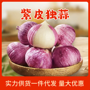 ������r����������l2025���^���l���^�����l���^������l؛