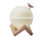 New cross-border foreign trade bedroom office desktop decoration creative gifts night light small onion humidifier