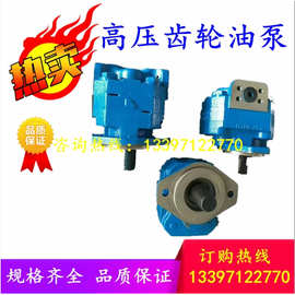 P124-G10液压齿轮油泵P257-G16替代G0天津泊姆克双联三联PERMCO