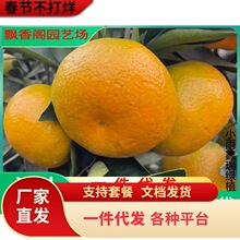 ���S�۽����ϱ���ͥԺ���Ը����玧�����Լ޽ӽ��Ә���箔��Y��