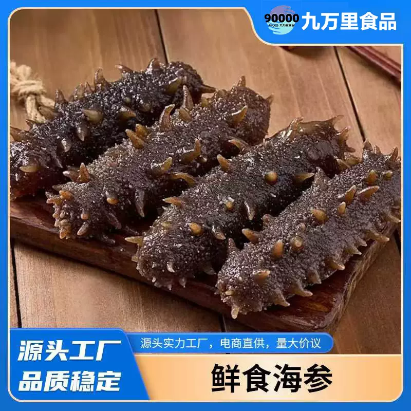 厂家批发鲜食海参即食辽刺非淡干大连源头鲜活