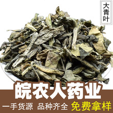大青叶中药材500克蓝叶板蓝根叶蓝菜大青叶茶中药材大全代发批发