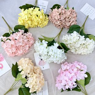 5�^ˮ�������c�b��滨�����Ҿӿ͏d�[���zӰ�����ֹ��ٻ�