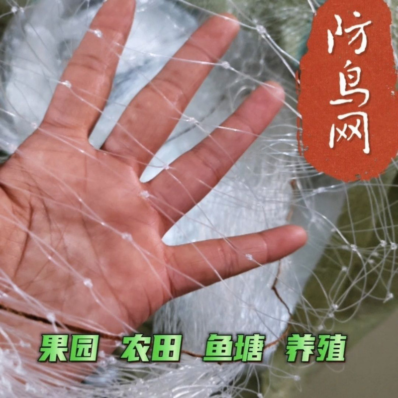 养殖防鸟网直销公分农田农用防鸟网耐高温农用鱼塘果园尼龙