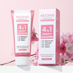 4 in 1 フェイスウォッシュ 4 in 1 フェイシャル クレンザー ジェントル クレンジング 4 in 1 フォーム オイル コントロール フェイシャル クレンザー