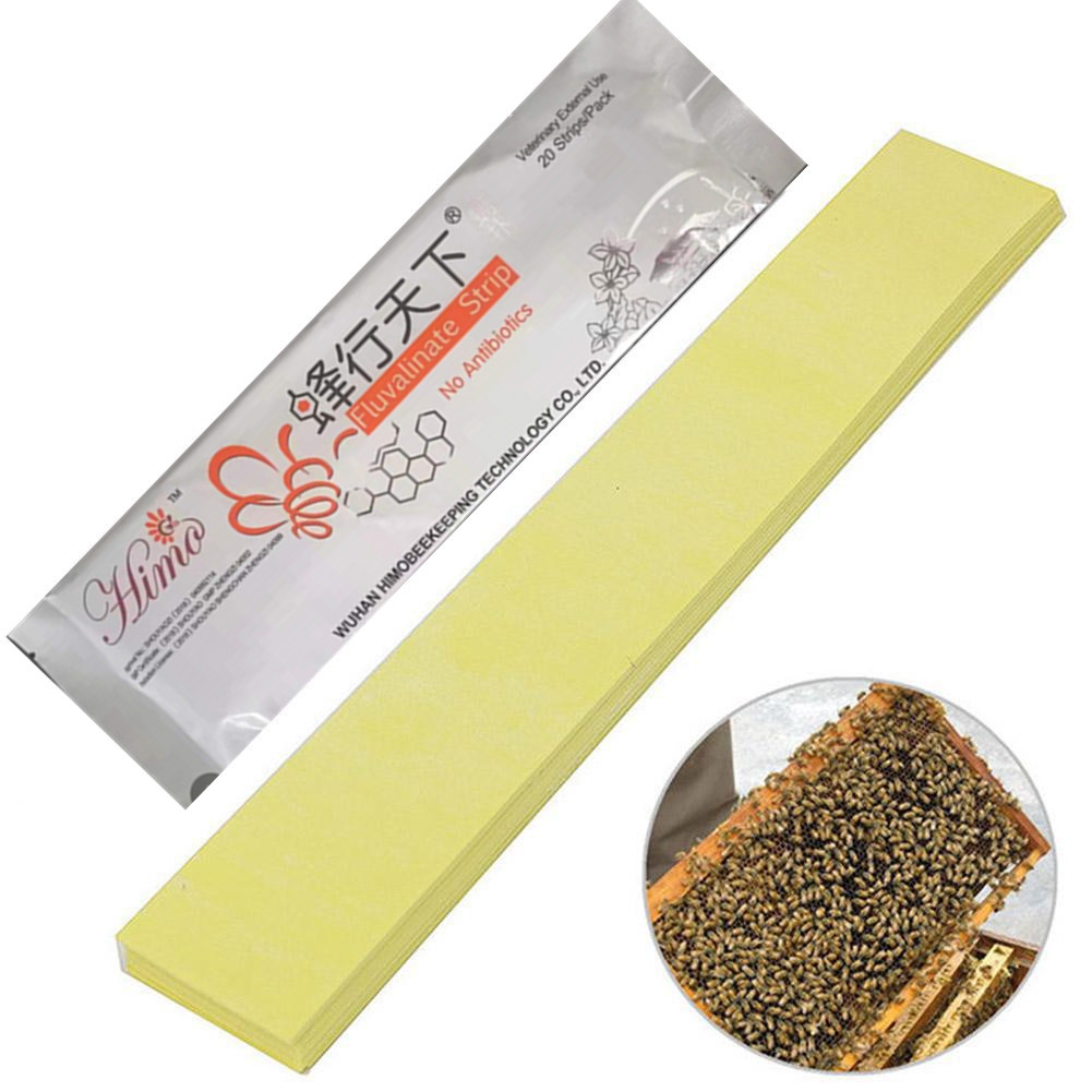 [Small wholesale] Bee medicine bee travels to the world 20 tablets…