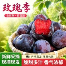 ����õ���������rˮ���t�⑪���Fժ�����֭�ڲ��־�Ʒ�����Ӱ��]