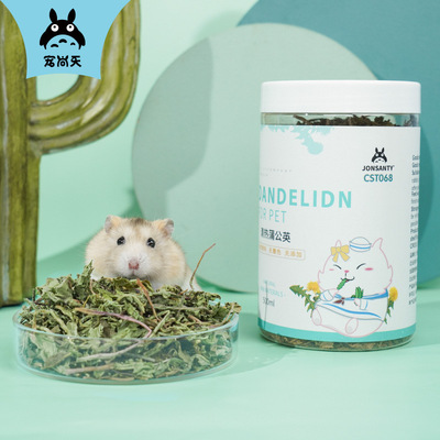 宠尚天   清热蒲公英 兔子草豚鼠龙猫仓鼠消暑粮食饲料  营养零食
