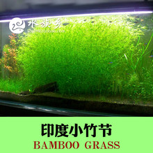 博龙液肥 博龙液肥品牌 图片 价格 博龙液肥批发 阿里巴巴