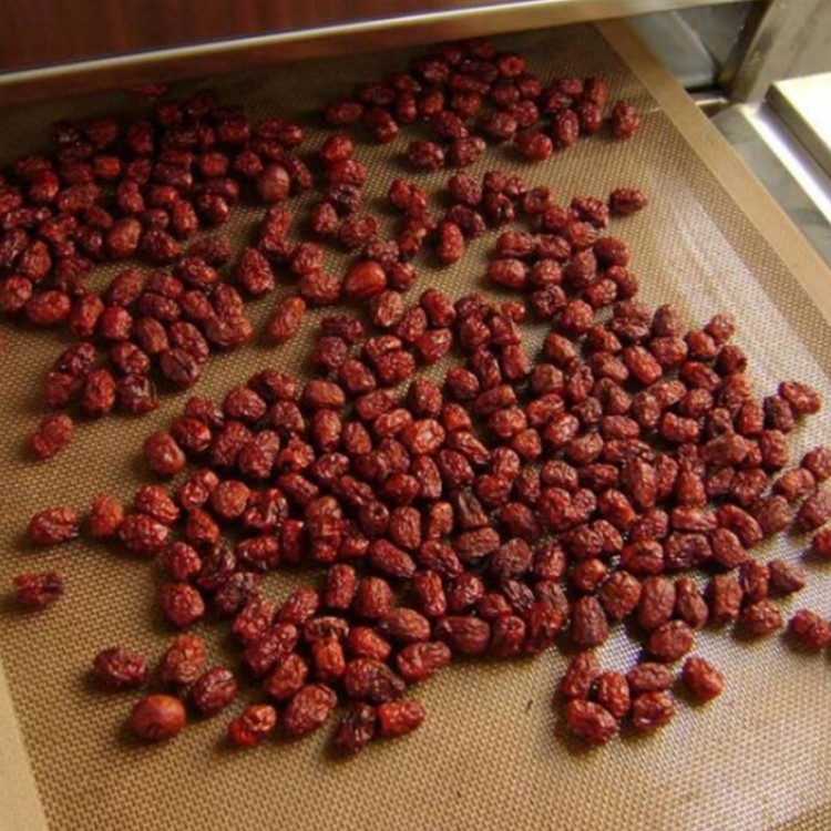 红枣杀菌灭菌设备 新疆红枣微波杀菌和田大枣干果杀菌干燥杀菌机