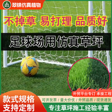 �S�������ƺ�\�ӈ�����O��Ƥ�T�����Q������X���w�P�������