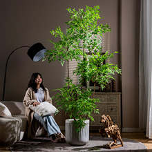 ����ֲ����������ؼٻ������Դ����p�ݿ͏d�҃ȷ����Gֲ�b[��