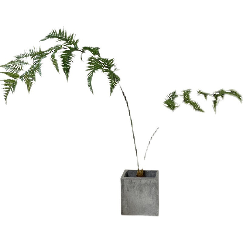 楼夏家シミュレーション緑植金糸猿頭シダ室内ショーウインドー偽植物置物日本風ネット赤禅意盆栽|undefined