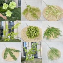 2024�Gɫϵ���滨 β؛ϵ��  ��c��Y�û���  �ٻ��b� ���l