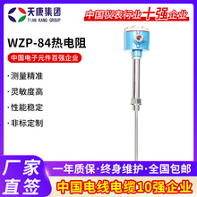 WZP-84熱電阻固定螺紋管接頭式防爆熱電阻裝配式防爆電熱阻
