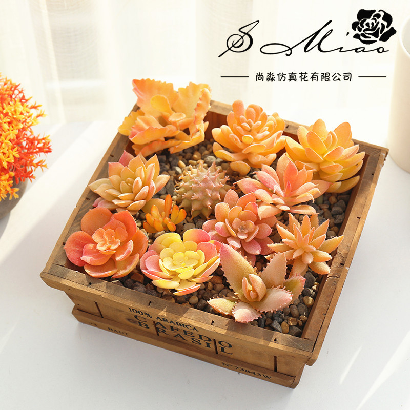 010 Flocked Yellow Series Succulent Creative DIY Supplies Flower Head Plant Wall Accessories Dropshipping Cross-Border Shangyi