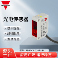 ʿјCarlo Gavazzi 늂 PD30CND10PASA