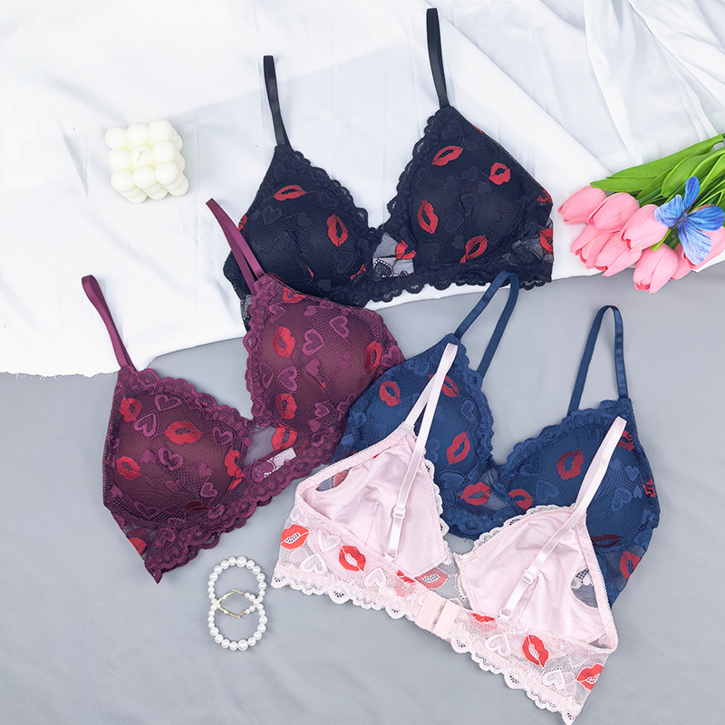 Transfronterizos tamaño europeo y americano marca labial de encaje transpirable delgado bordado damas bra comercio exterior bra Amazon al por mayor