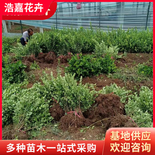 �����lì�G�hֲ����֧�ڷ����^���� �������� ���~�S���綬����