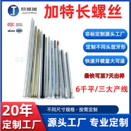江苏苏州厂家不锈钢十字盘头圆头沉头特长螺钉长螺丝 M4M5M6M8M10
