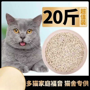 ����؈ɰԭζ����̿�����o�m����ɰɳ؈����Ʒ���10��ɰ20�����l