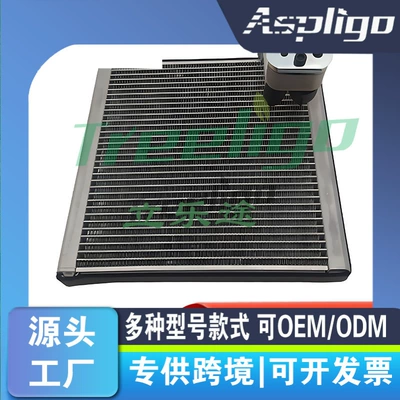 For KIA lion running Picanto SORENTO SORENTO evaporator DS665069 EV211058