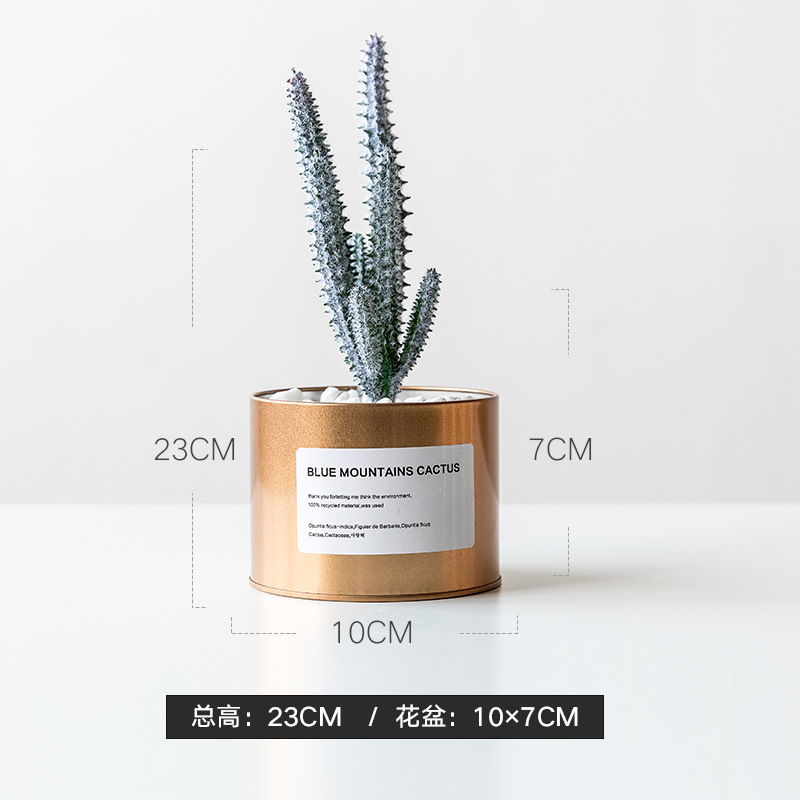금 철 캔 + 용골