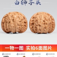 ������Ұ�ʨ�Ӻ���һ��һͼ�����Ƽ�ʨ��ͷ�����ֹ���װ���