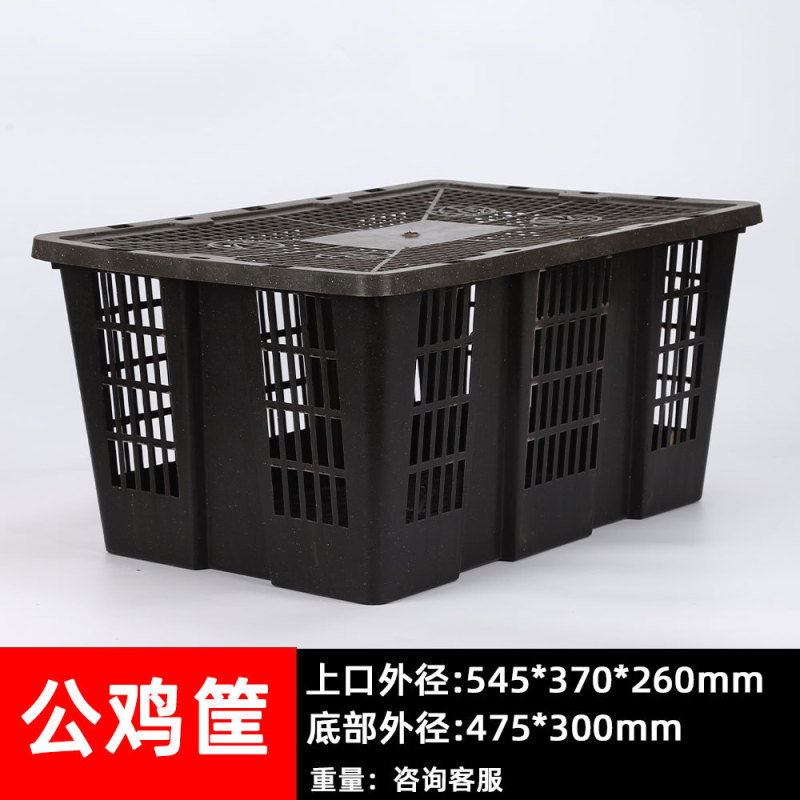 加厚塑料框带盖鸽子兔子宠物活禽运输筐快递打包周转箱筐厂家批发|undefined