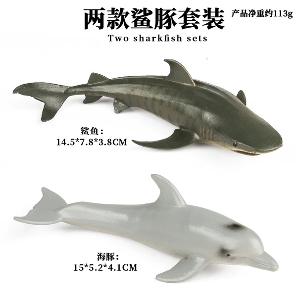Shark, set, dolphin