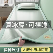 �羳A��p������ٛ�ϯ�W�����ጋ������ϯ���Ứ����ܛϯ������