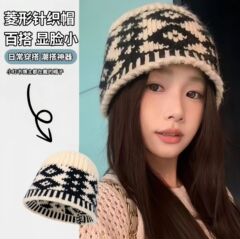 羊毛混纺毛线帽女冬季毛绒复古保暖护耳大头围冷帽包头帽针织帽子
