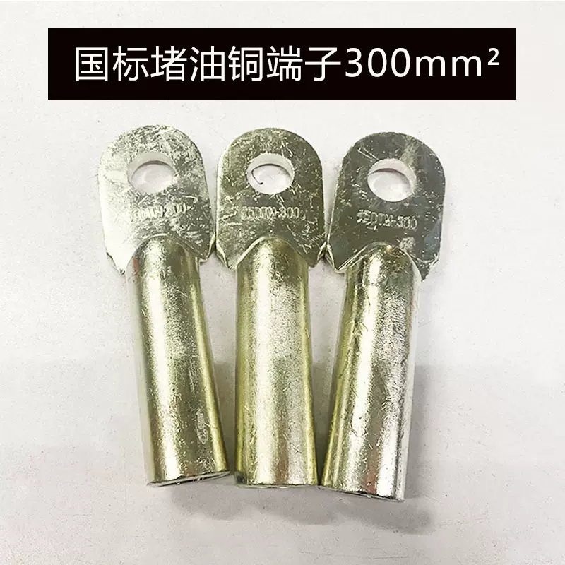国标铜鼻子DTM-300mm² 线鼻子铜接线端子电缆堵油铜线耳镀锡加厚